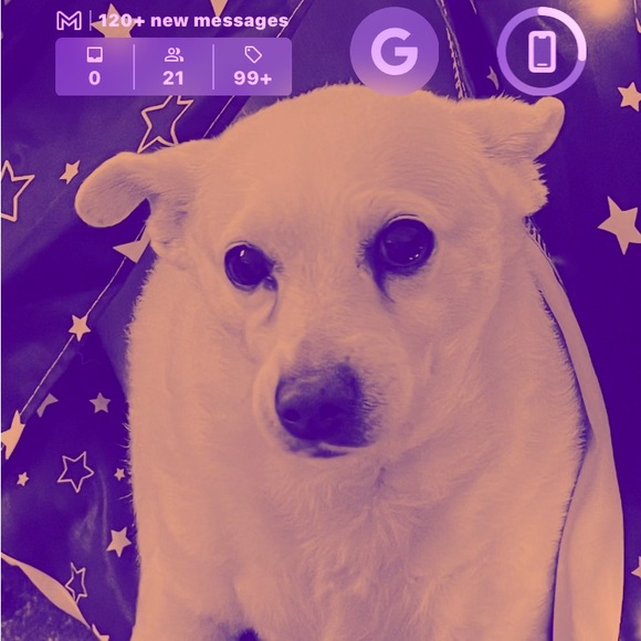 Meet your Posher, Tina - Picture 15 of 15